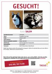 TASSO_Suchplakat_S2354656 TASSO_Suchplakat_S2354656