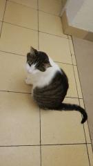 Moritz_1 Moritz_1