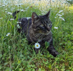 01/545-Sammy1.jpg