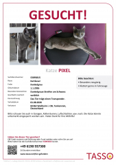 01/547-TASSO_Suchplakat_Pixel_unter_300kB.jpg
