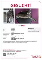 TASSO_Suchplakat_Pixel_unter_300kB