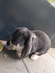 PHOTO-2025-10-12-11-58-42