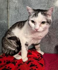 PHOTO-2025-10-24-12-29-34(1)