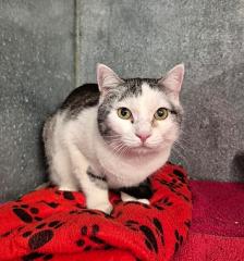 PHOTO-2025-10-24-12-29-34