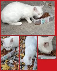 PHOTO-2025-10-23-12-55-30