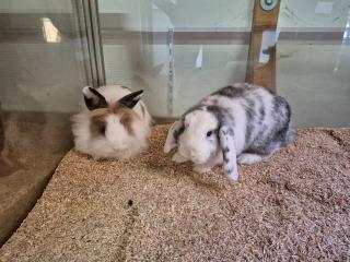 PHOTO-2025-11-05-15-10-41