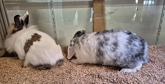 PHOTO-2025-11-05-15-10-44