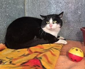 PHOTO-2025-11-10-15-18-30